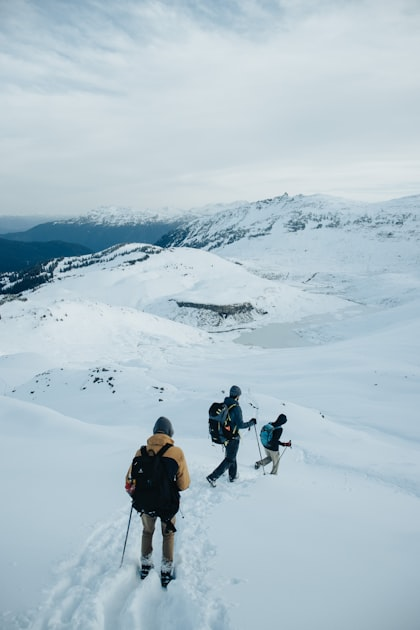 Eco-Tourism in Central Alaska